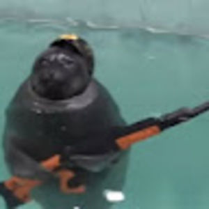 Meet your Posher, Mason